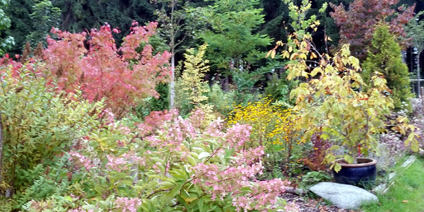 Herbstfarben zum Narrischwerden